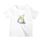 鳥のつまみ喰いのオカメインコ（ノーマル） スタンダードTシャツ