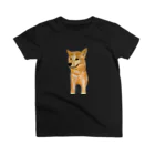 S☺︎RA BRANDのしばし柴犬 スタンダードTシャツ