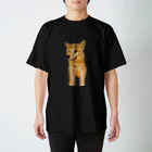 S☺︎RA BRANDのしばし柴犬 スタンダードTシャツ