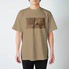 保護ねこ施設 ティアハイム小学校のぴーちゃん Regular Fit T-Shirt