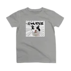 nikomomoのにゃんだとTシャツM スタンダードTシャツ