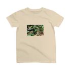 DesignShop_Sの茂みの中の子ウサギ スタンダードTシャツ