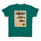 ななめやの魚類画帳 スタンダードTシャツ