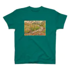 SJMavisのグリンドルフォールドの自然美：Natural Beauty of Grindleford スタンダードTシャツ