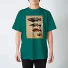 ななめやの魚類画帳 Regular Fit T-Shirt