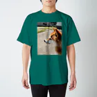 華柴の華柴 Regular Fit T-Shirt