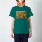 SJMavisのグリンドルフォールドの自然美：Natural Beauty of Grindleford スタンダードTシャツ