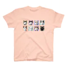 はちわれきじとらぴーちゃんずの猫がたむろしてるので気を付けて下さい スタンダードTシャツ