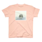 うみうそくん Olivineのお店のひょっこりラッコ スタンダードTシャツ