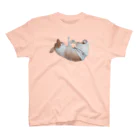 はるまき屋のおパンツはるまきDreamin' スタンダードTシャツ