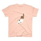 minakawanekoの伸びーっ三毛猫さん スタンダードTシャツ