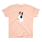 ECLAIR BUNNYの春の足音 スタンダードTシャツ