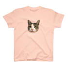 ねこねこのイケニャン 福招く！ スタンダードTシャツ