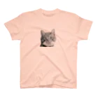 壁かべSHOP・SUZURI店のひょっこり猫さんハーフトーン スタンダードTシャツ