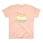 rainBoxの仲良しオカメちゃん スタンダードTシャツ