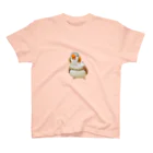 きんちゃんグッズのごきげんきんちゃん スタンダードTシャツ