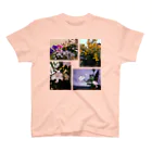 ﾄﾙｺﾞﾚの花の写真4枚 スタンダードTシャツ