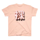 DESTROY MEのはだか♥ Regular Fit T-Shirt