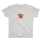 qqqqlmのgurami  Regular Fit T-Shirt