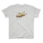 あじゅ✮うんたま屋のdebu-涅槃T Regular Fit T-Shirt