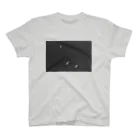 ⠒⠔ ⠑⠭⠏⠕⠎⠥⠗⠑⠎のSwans Regular Fit T-Shirt