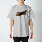 みなとまち層の古代魚ポリプテルス Regular Fit T-Shirt