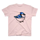 Cody the LovebirdのChubby Bird アオカケス　ブルージェイ スタンダードTシャツ