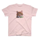 壁かべSHOP・SUZURI店のひょっこり猫さんCOL. スタンダードTシャツ
