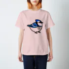 Cody the LovebirdのChubby Bird アオカケス　ブルージェイ スタンダードTシャツ