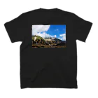 THYMEのTATEYAMA スタンダードTシャツの裏面