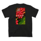 珈琲と植物と性欲のCOFFEE BOY スタンダードTシャツの裏面