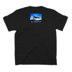 らんすけふぉとの江ノ島の空 Regular Fit T-Shirtの裏面