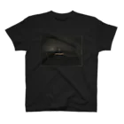 art_of_hammershoiの室内　人工光 / vilhelm hammershoi Regular Fit T-Shirt