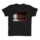 キツネツキの【キツネツキ オフィシャルグッズ】　T-shirt black Regular Fit T-Shirt
