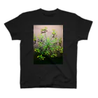 あかつきの花火 Regular Fit T-Shirt