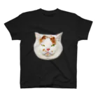 MARCO's CAT SHOPの魔除け メイ Regular Fit T-Shirt