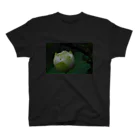 つぶつぶとのlotus（white bud） Regular Fit T-Shirt