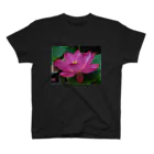 つぶつぶとのlotus（pink） スタンダードTシャツ