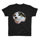 愛猫ちゃん達の毎日の★buuu'★ スタンダードTシャツ