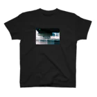 PHOTOGRAPHICsのイントロダクションA スタンダードTシャツ