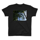 ダチハラの植物園 スタンダードTシャツ