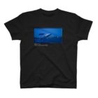なぜか閉店しない服屋の夜のクジラ black Regular Fit T-Shirt
