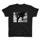 Radiostar suzuriSHOPの銀鉤舎　Cats rule the world Regular Fit T-Shirt