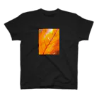 Hide Watanabeの leaf00 スタンダードTシャツ