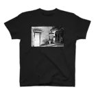 コウケツコタロウのfilm photo -ふたつの扉- スタンダードTシャツ