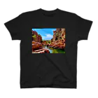 CRUISE SHIPのIntrigue　Valley スタンダードTシャツ