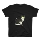 Unyanの猫JK同盟 スタンダードTシャツ