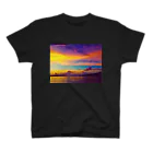 mizuphoto galleryの絶望と希望 スタンダードTシャツ