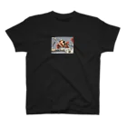 カワセミLOVEの出身歌舞伎町ヒレンジャク Regular Fit T-Shirt