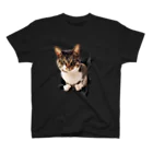 おとんのとびだすねこ（めるお）黒 スタンダードTシャツ